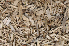 biomass boilers Broom